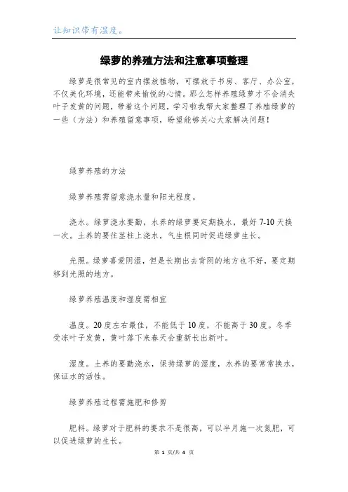 绿萝的养殖方法和注意事项整理