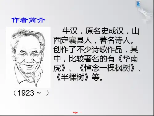 我的第一本书公开课课件
