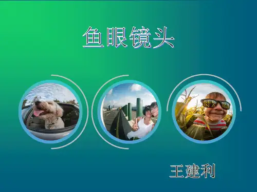 鱼眼镜头王建利资料