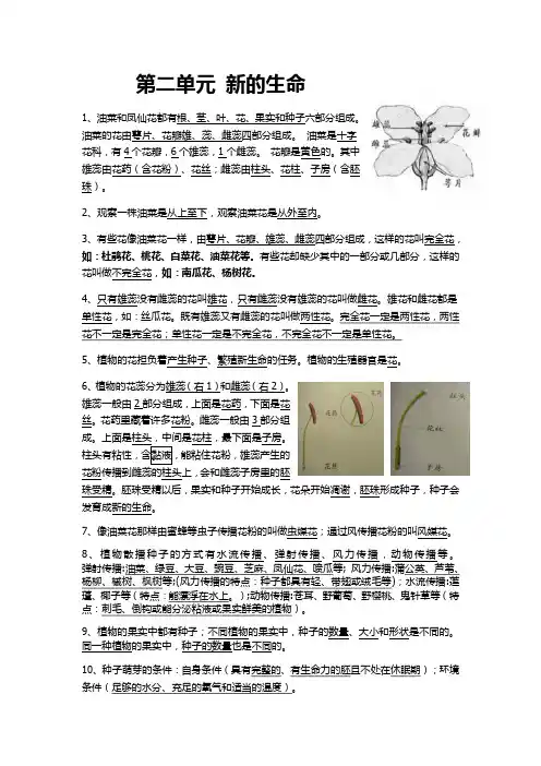 第二单元 新的生命知识点