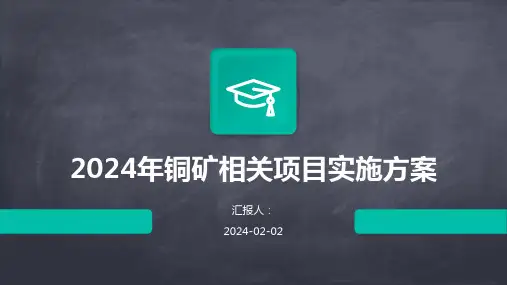 2024年铜矿相关项目实施方案