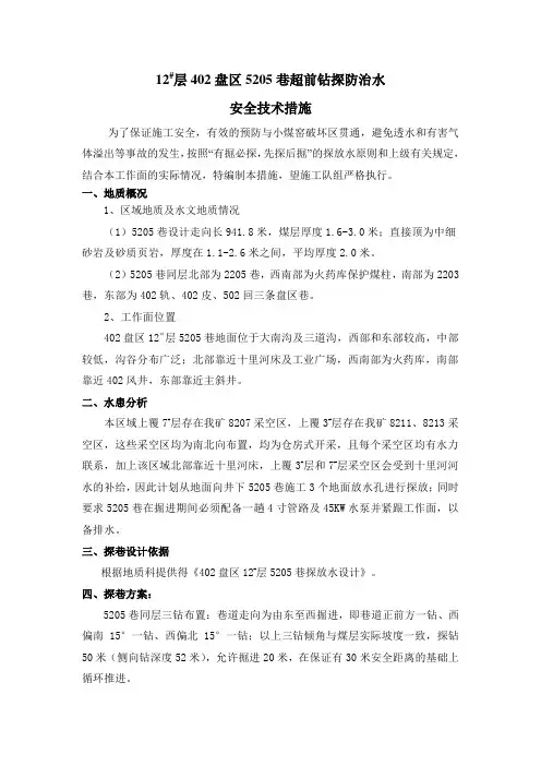 5205探巷措施