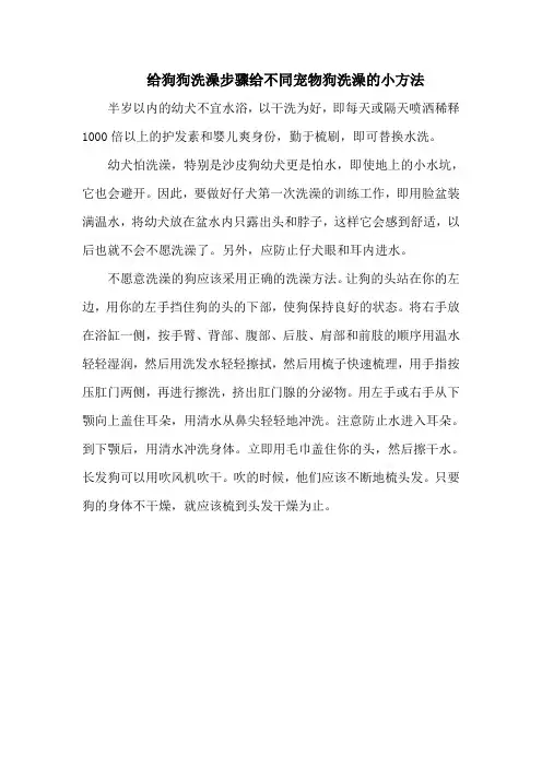 给狗狗洗澡步骤给不同宠物狗洗澡的小方法
