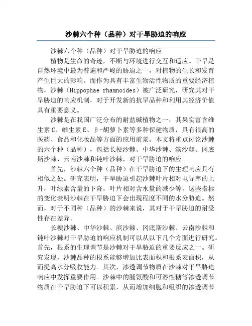 沙棘六个种(品种)对干旱胁迫的响应