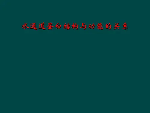 水通道蛋白结构与功能的关系