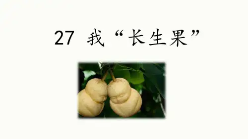 语文五年级上册 我的“长生果”(配套PPT课件)