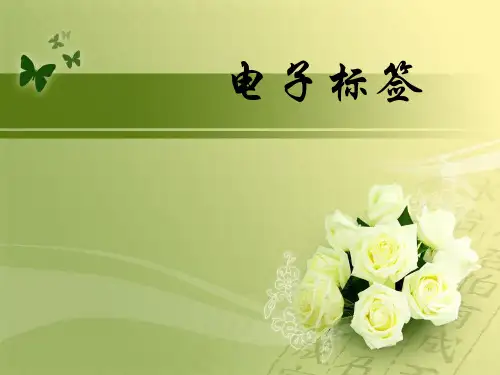 电子标签pp-PPT(精)