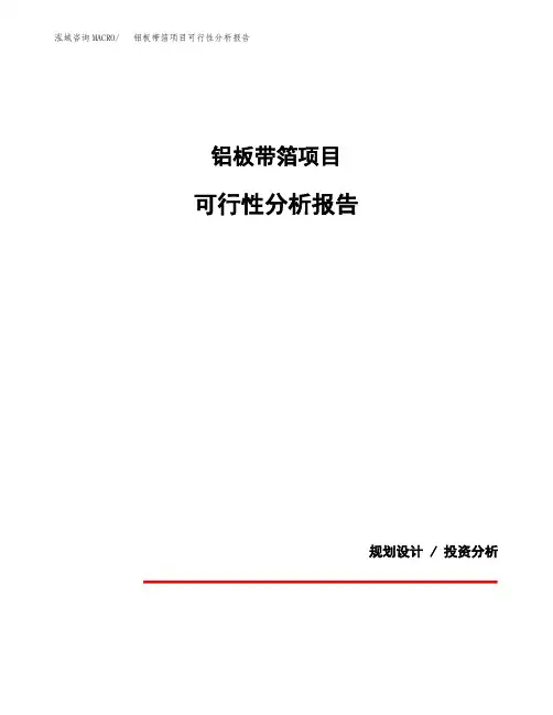 铝板带箔项目可行性分析报告(模板参考范文)