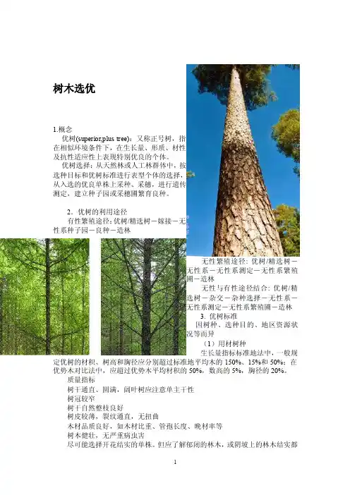 树木选优——精选推荐
