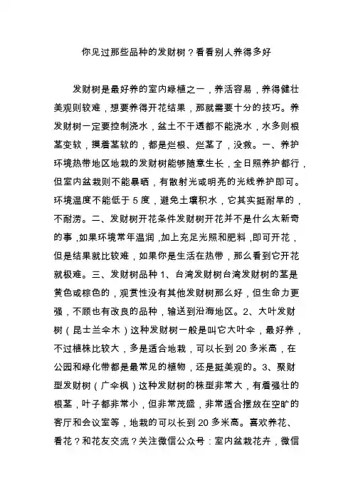 你见过那些品种的发财树？看看别人养得多好