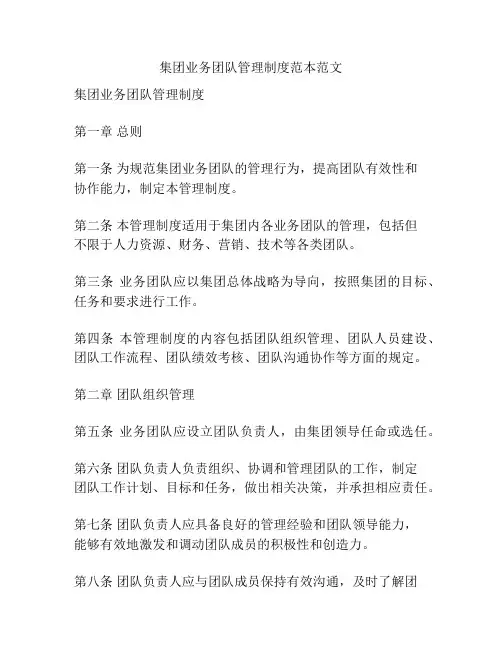 集团业务团队管理制度范本范文