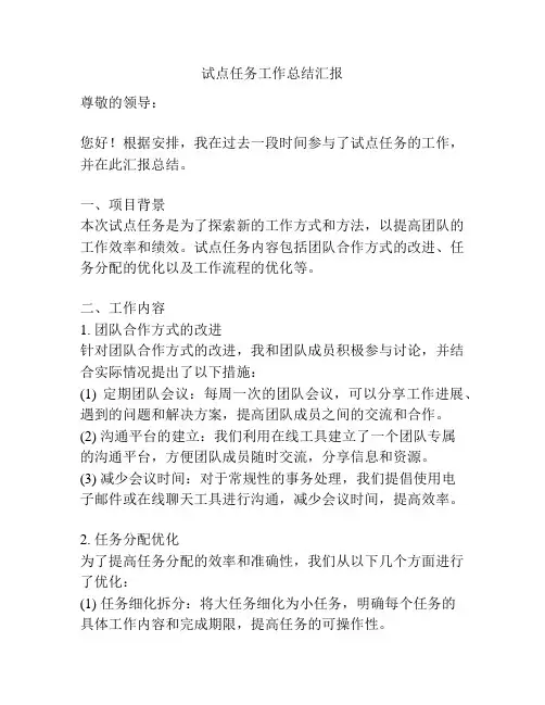 试点任务工作总结汇报