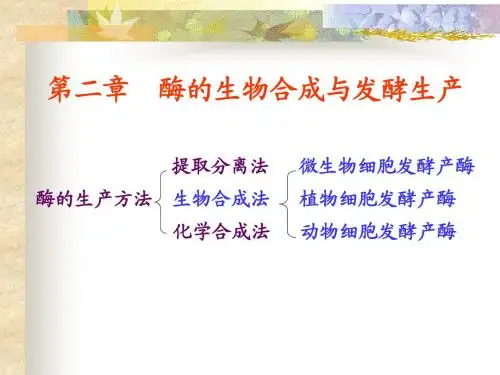 酶的生物合成与发酵生产