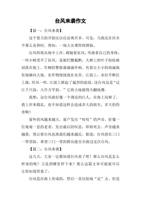 台风来袭作文
