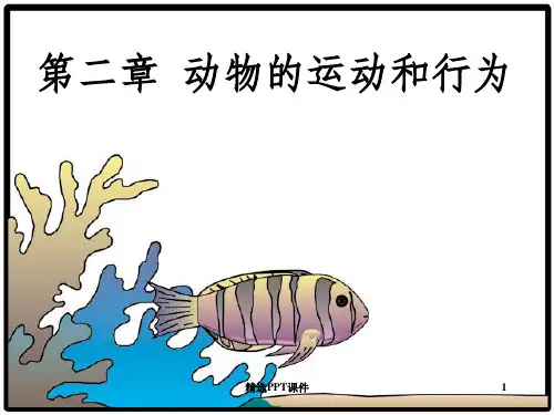 动物的运动ppt课件