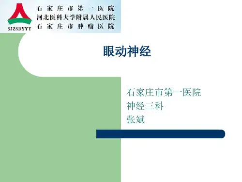 眼动神经