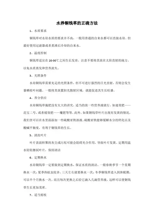 水养铜钱草的正确方法