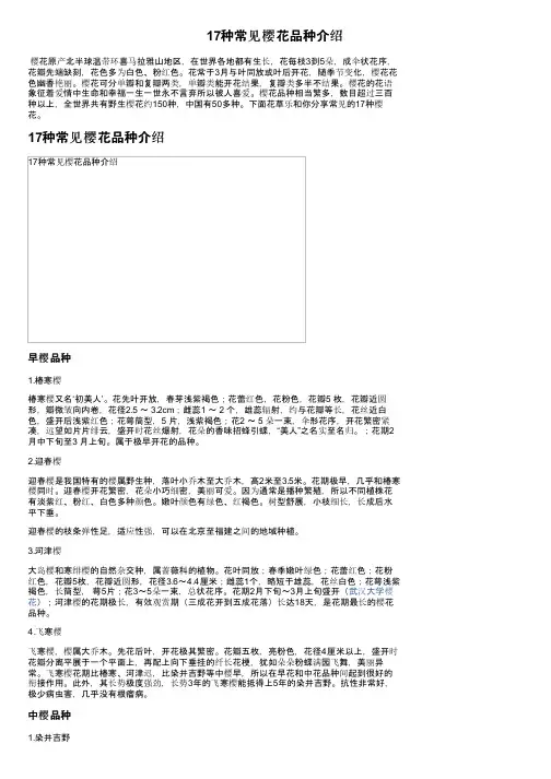 17种常见樱花品种介绍