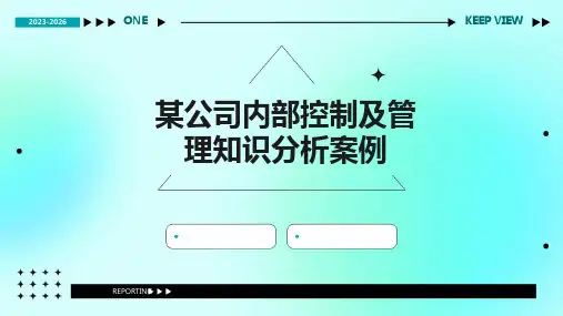 某公司内部控制及管理知识分析案例