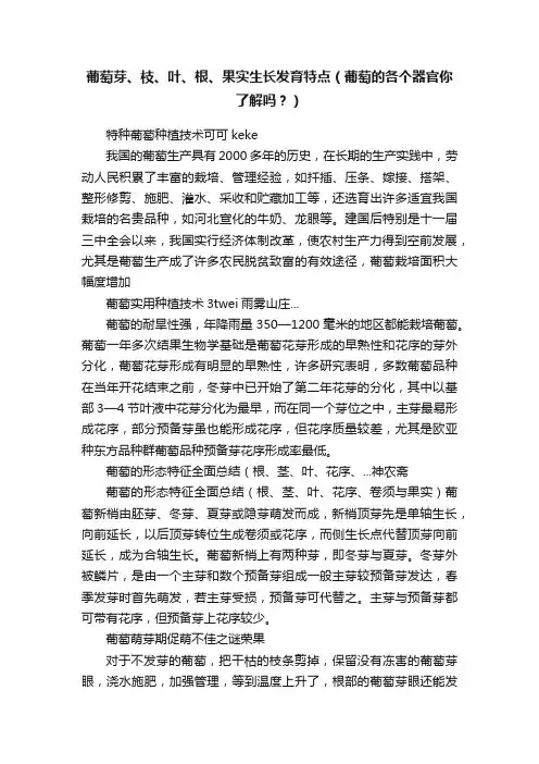 葡萄芽、枝、叶、根、果实生长发育特点（葡萄的各个器官你了解吗？）