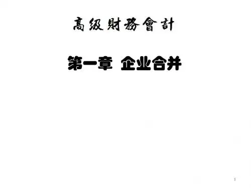 第一章 企业合并