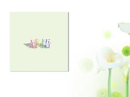 作文指导：学会感悟 PPT课件 1