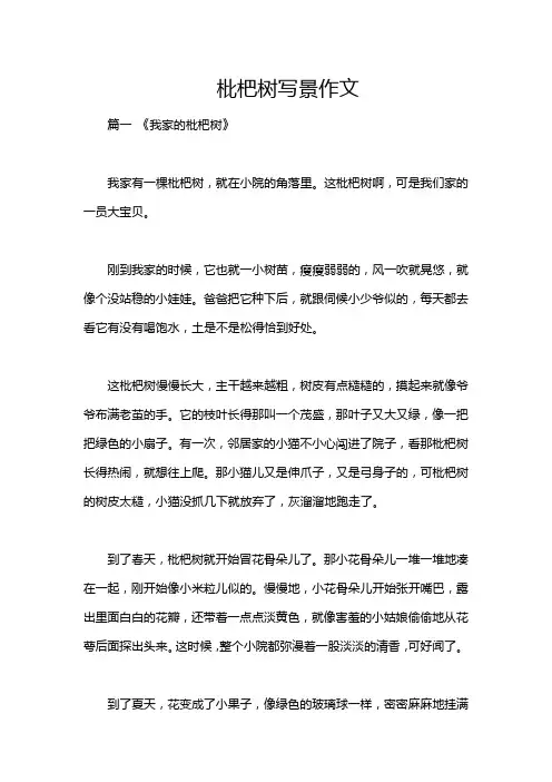 枇杷树写景作文