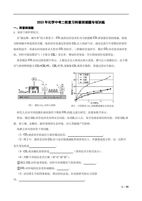 2023年化学中考二轮复习---科普阅读题专项训练