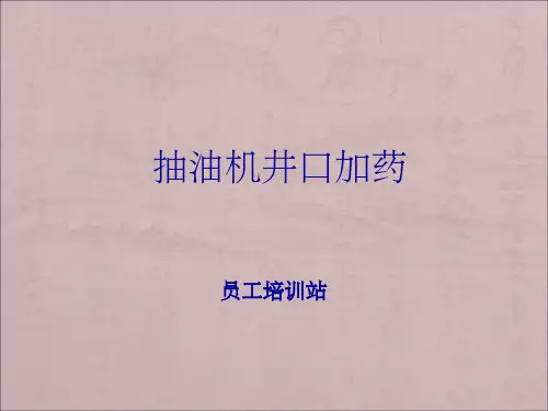抽油机井口加药