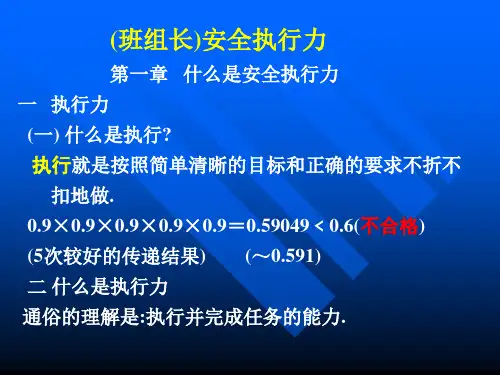 安全执行力