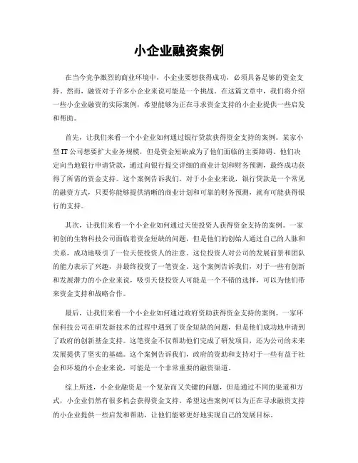 小企业融资案例