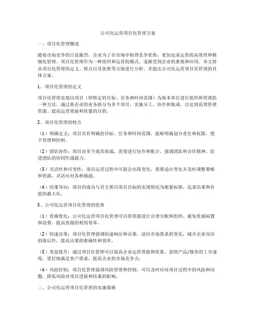 公司化运营项目化管理方案