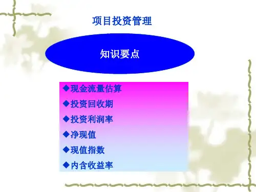 项目投资管理 (PPT 42页)