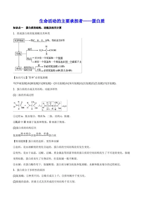生命活动的主要承担者—蛋白质 知识点总结与重难点