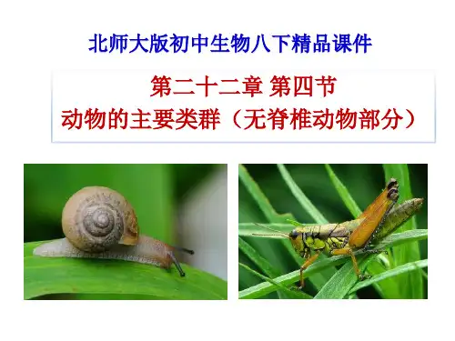 北师大版八年级生物下册22.4《动物的主要类群》(无脊椎动物部分)(共51张PPT)