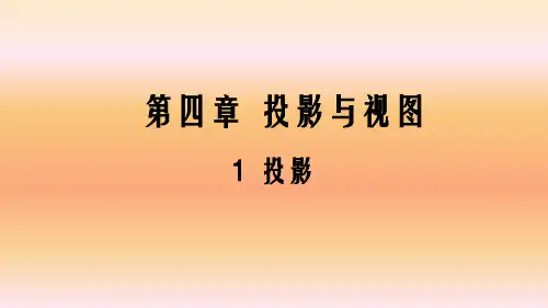 北师大版九年级数学上册课件：5.1投影(共42张PPT)