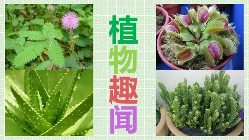植物趣闻