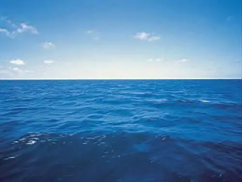 9《青蛙看海》ppt课件5