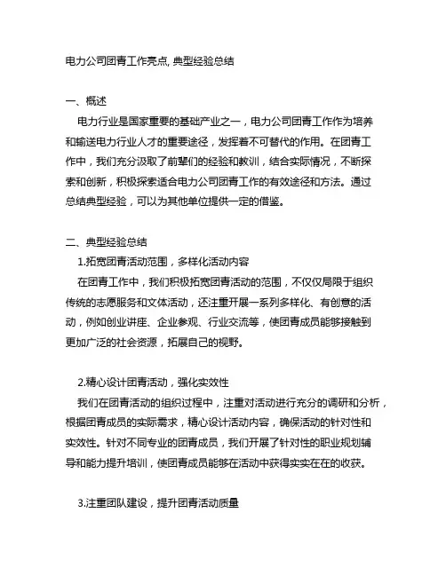 电力公司团青工作亮点,典型经验总结材料