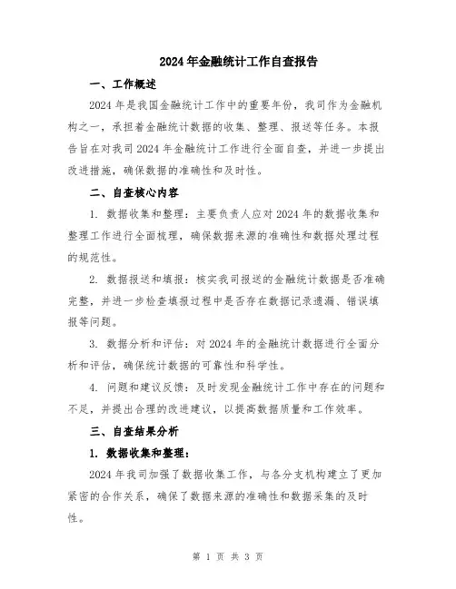 2024年金融统计工作自查报告