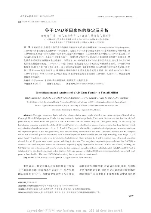 谷子CAD基因家族的鉴定及分析