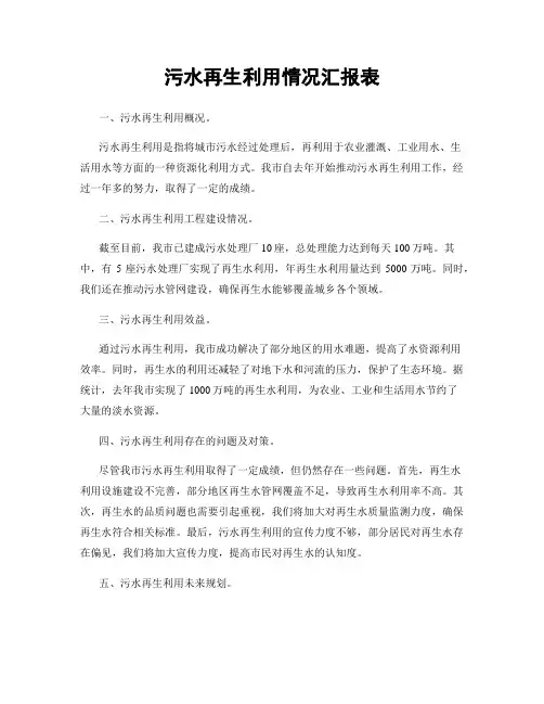 污水再生利用情况汇报表