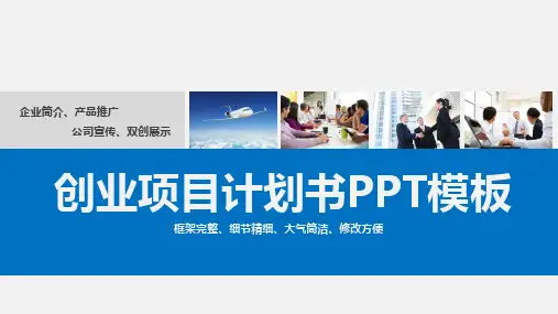 创业项目计划书PPT模板(精品)