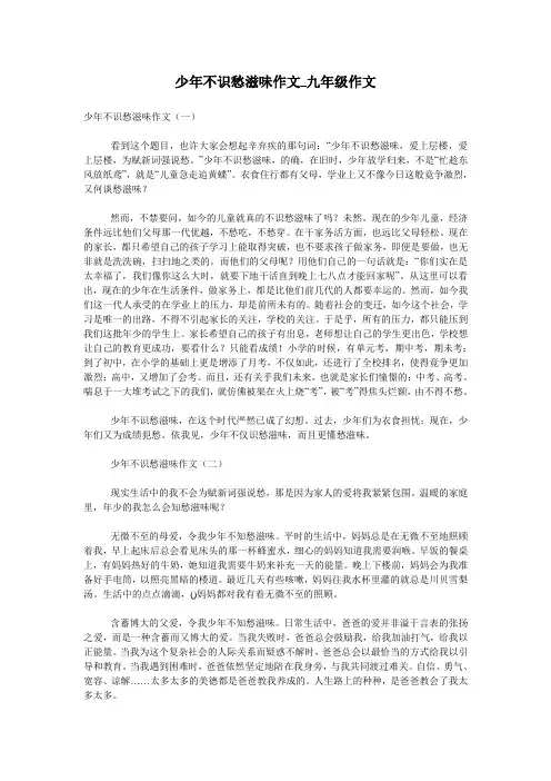 少年不识愁滋味作文_九年级作文