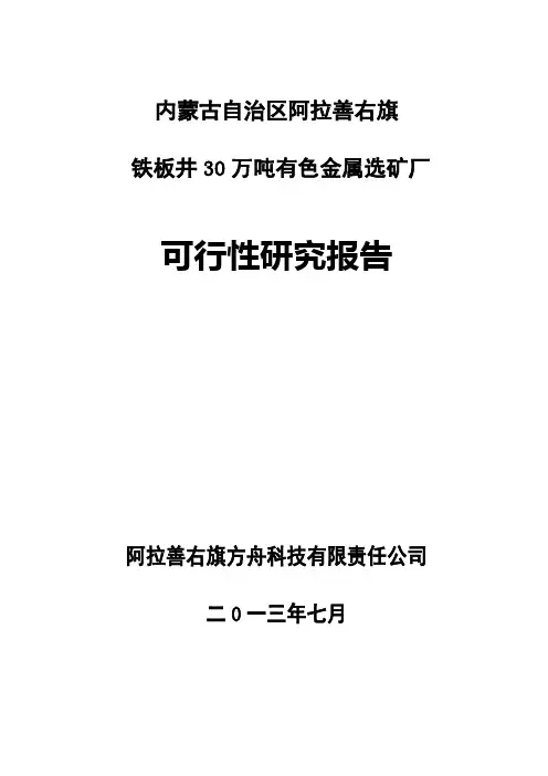 年处理30万吨有色金属选矿厂可研