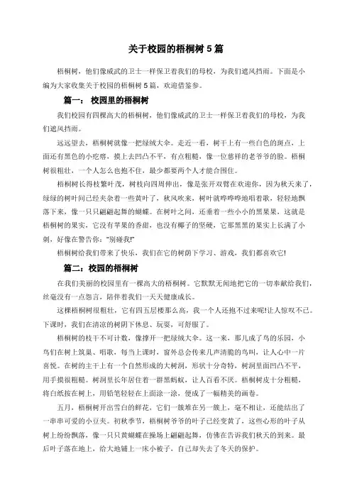 关于校园的梧桐树5篇