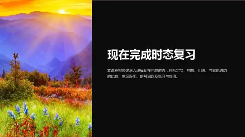 《现在完成时态复习》课件