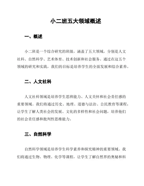 小二班五大领域概述