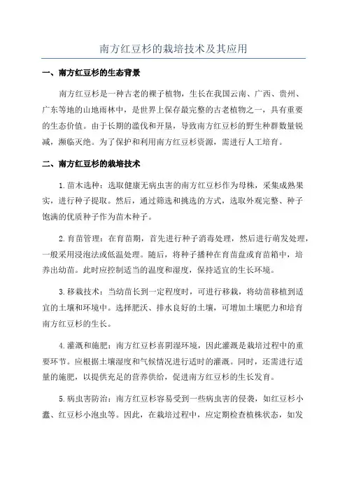 南方红豆杉的栽培技术及其应用