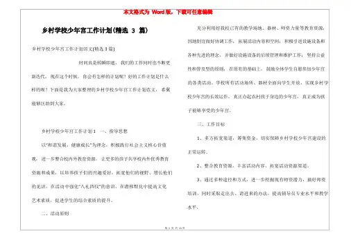 乡村学校少年宫工作计划(精选3篇)